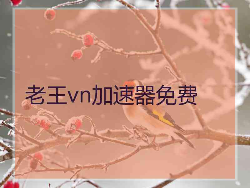 老王vn加速器免费