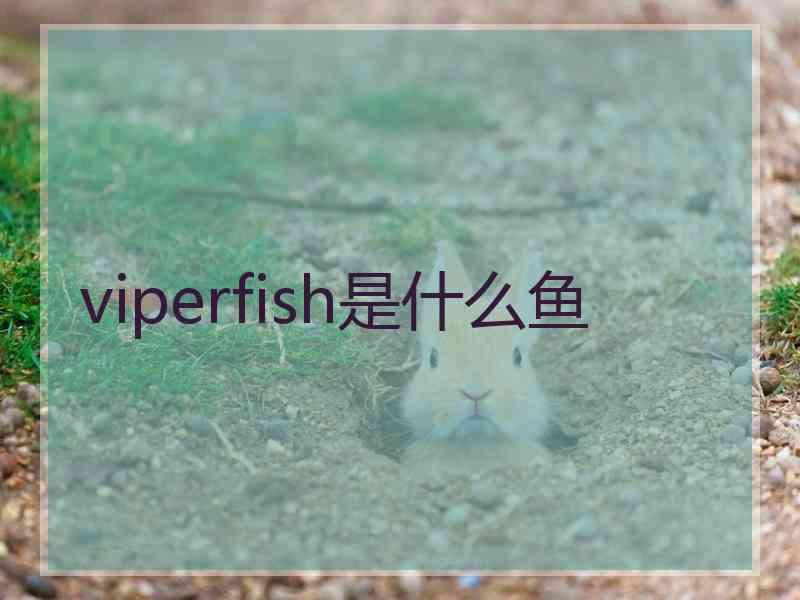 viperfish是什么鱼