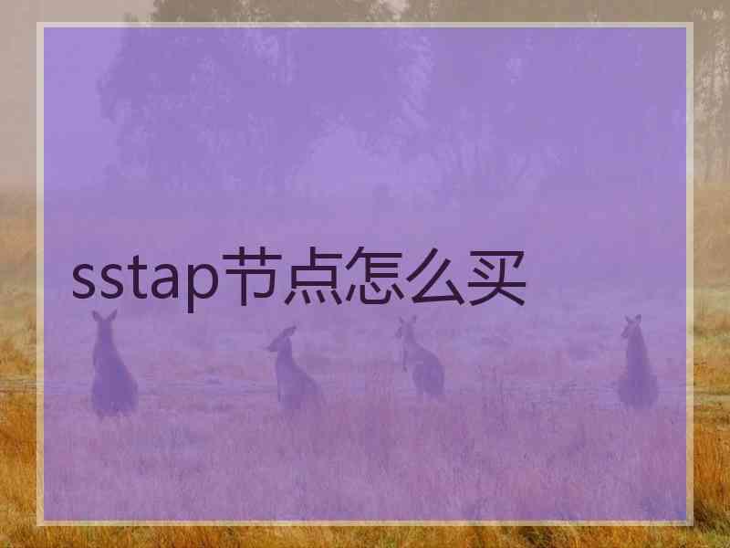 sstap节点怎么买