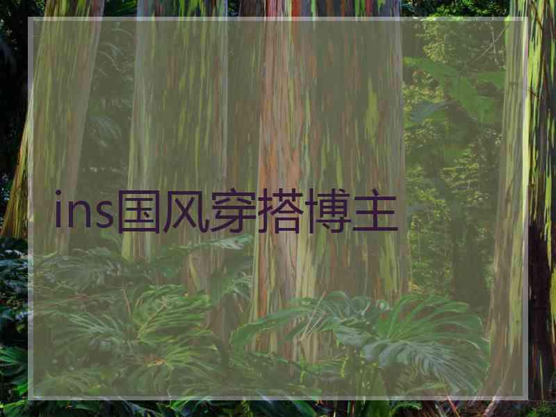 ins国风穿搭博主