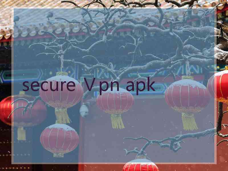 secure Ⅴpn apk