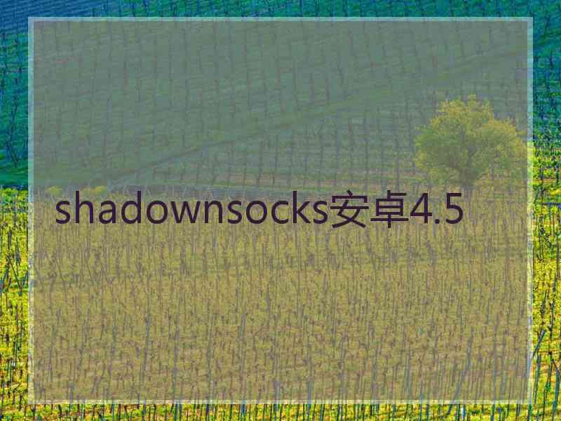 shadownsocks安卓4.5