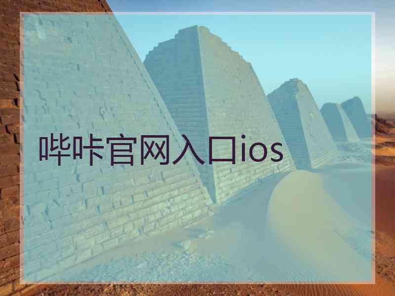 哔咔官网入口ios