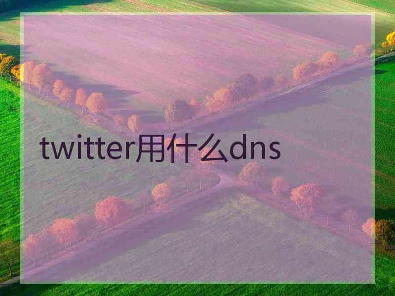 twitter用什么dns