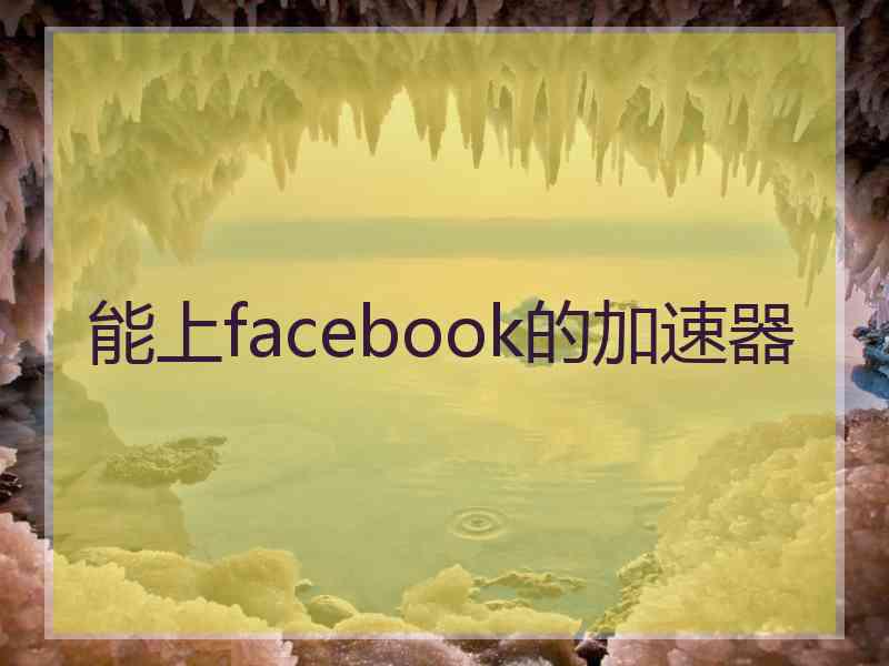 能上facebook的加速器