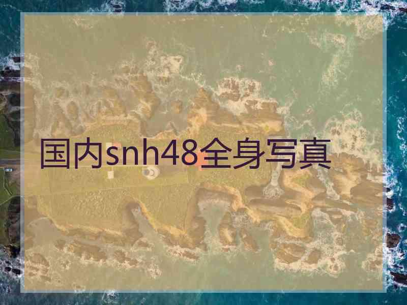 国内snh48全身写真