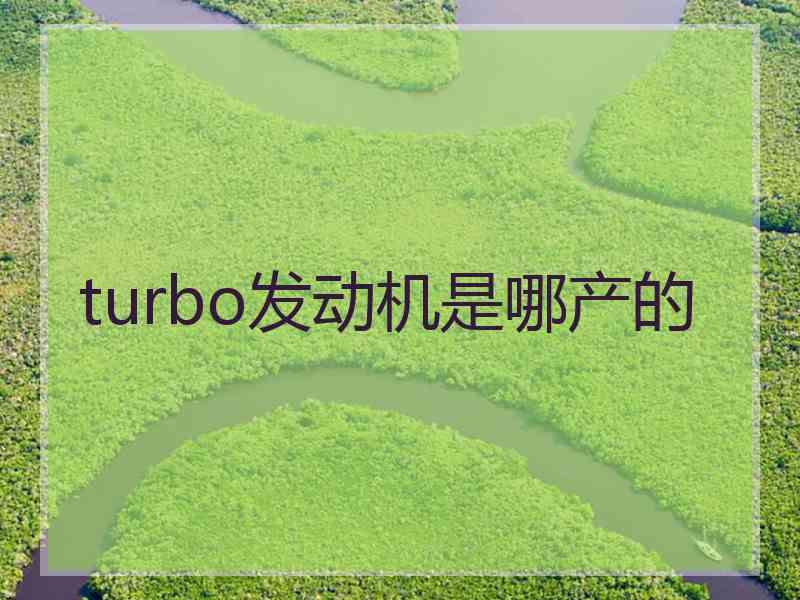 turbo发动机是哪产的