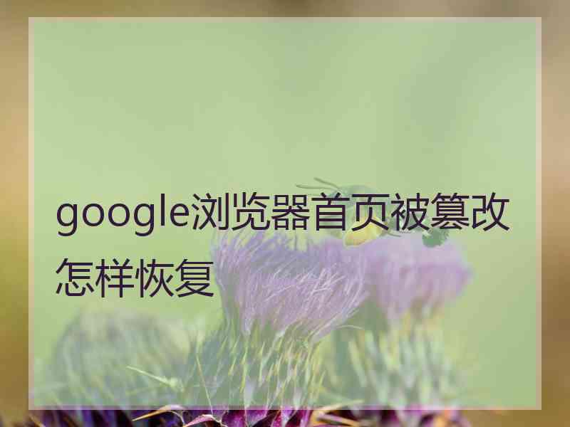 google浏览器首页被篡改怎样恢复