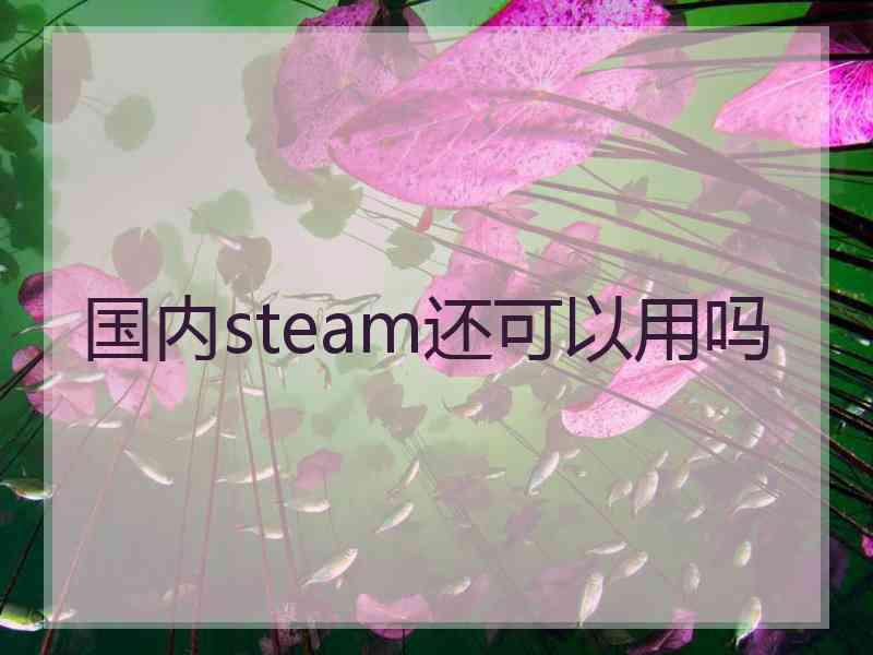 国内steam还可以用吗