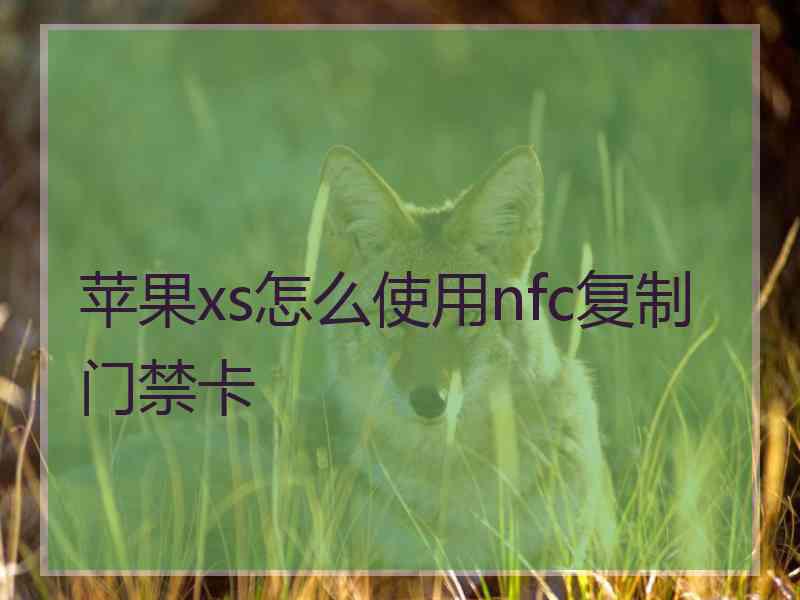 苹果xs怎么使用nfc复制门禁卡