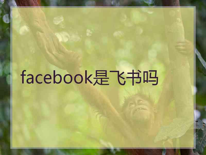 facebook是飞书吗