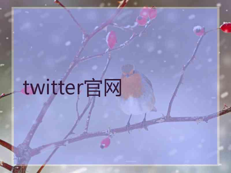 twitter官网