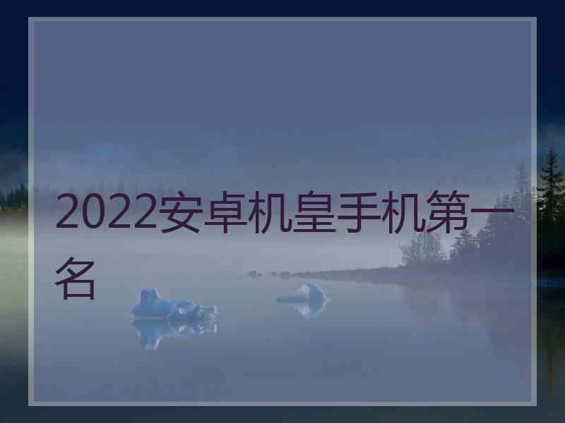 2022安卓机皇手机第一名