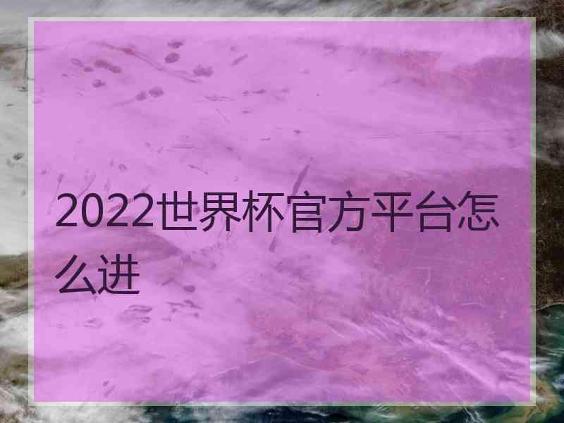 2022世界杯官方平台怎么进