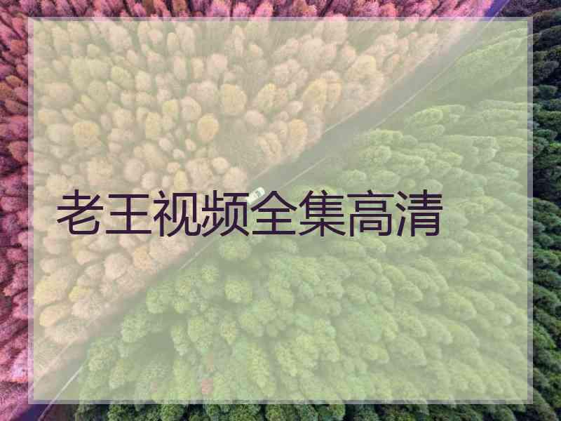 老王视频全集高清