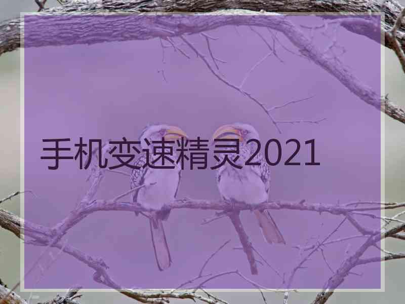 手机变速精灵2021