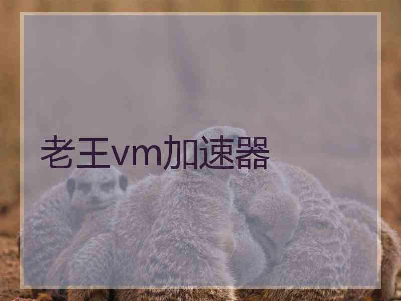 老王vm加速器