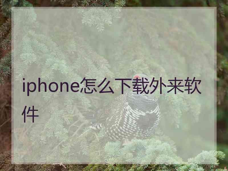 iphone怎么下载外来软件