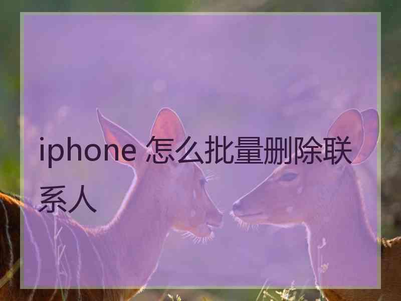 iphone 怎么批量删除联系人