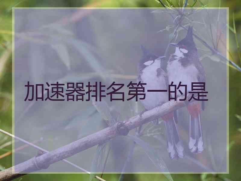 加速器排名第一的是