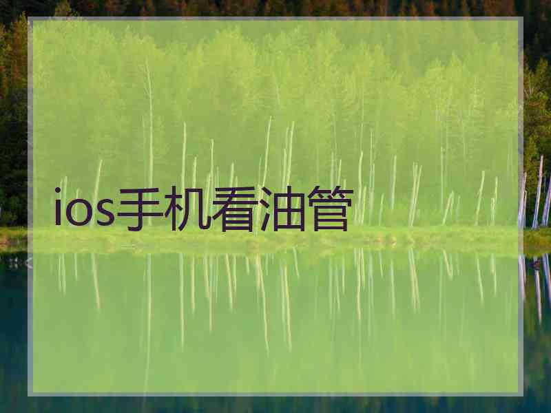 ios手机看油管