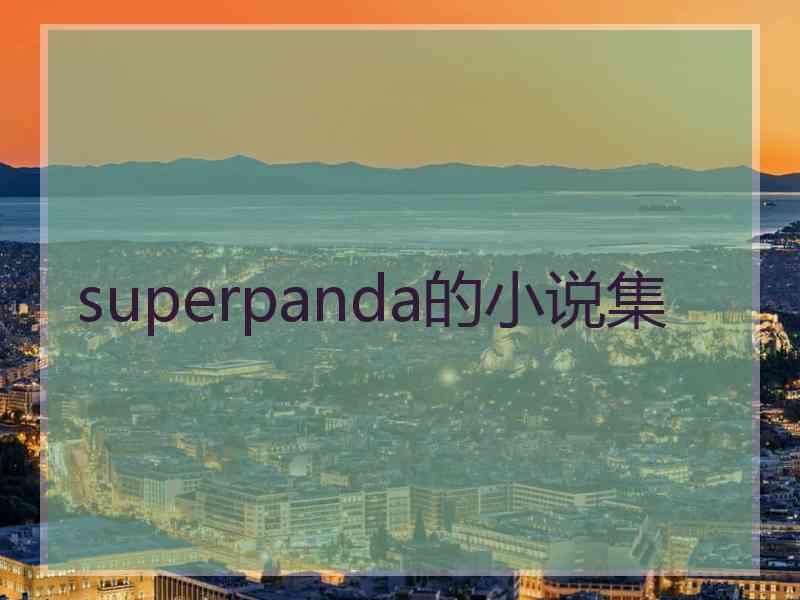 superpanda的小说集