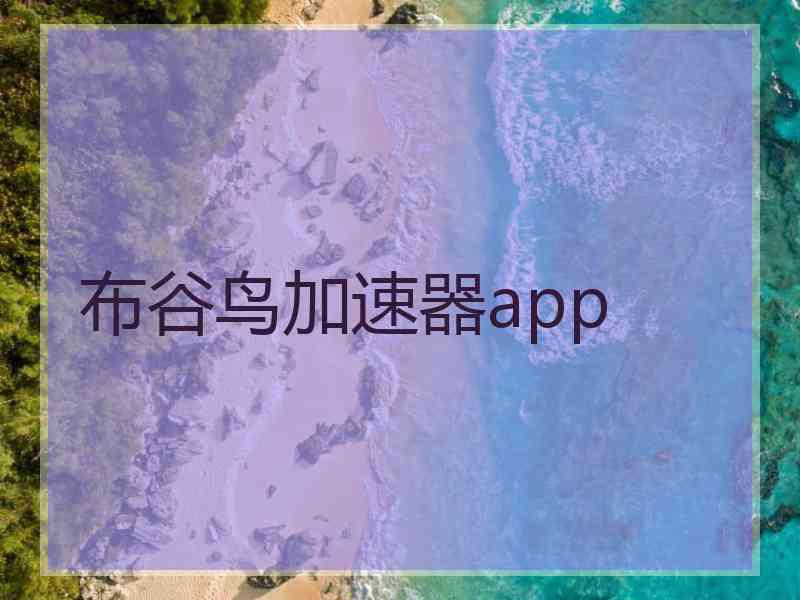 布谷鸟加速器app