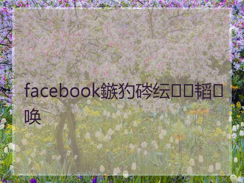 facebook鏃犳硶纭韬唤