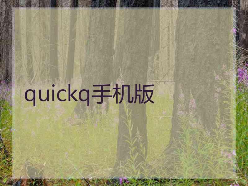 quickq手机版