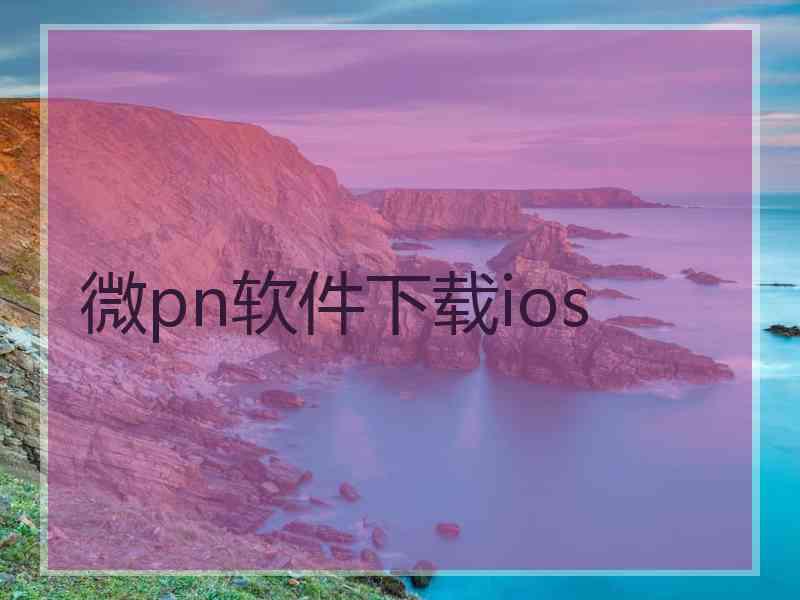 微pn软件下载ios