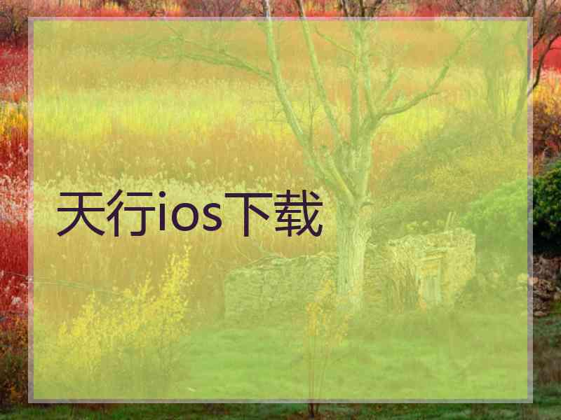 天行ios下载