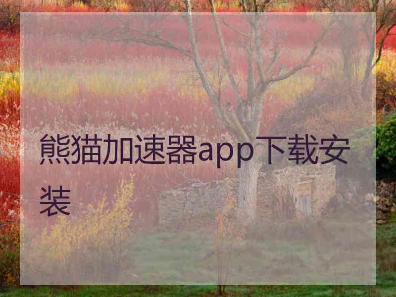 熊猫加速器app下载安装