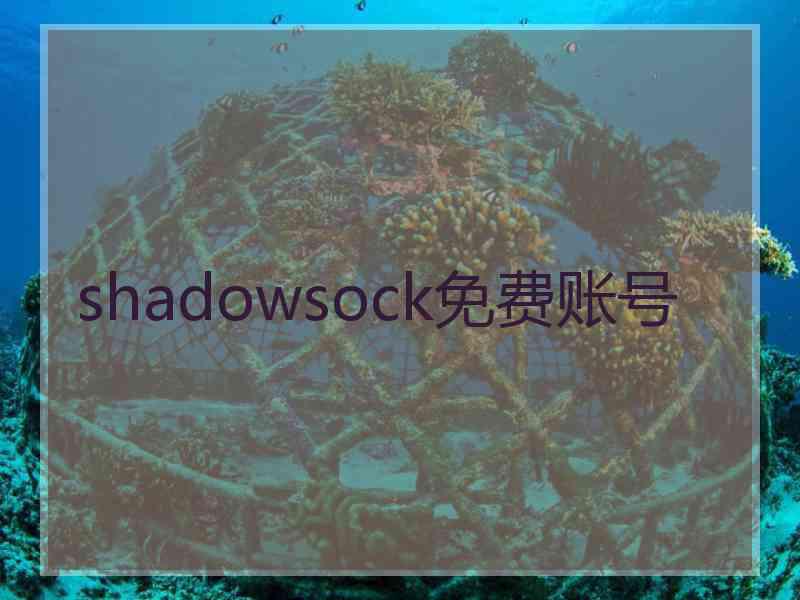 shadowsock免费账号