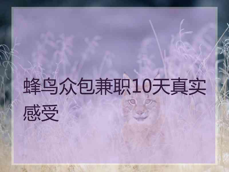 蜂鸟众包兼职10天真实感受