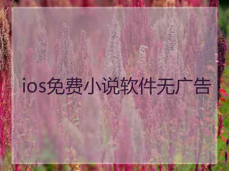 ios免费小说软件无广告