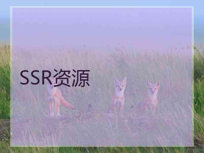 SSR资源