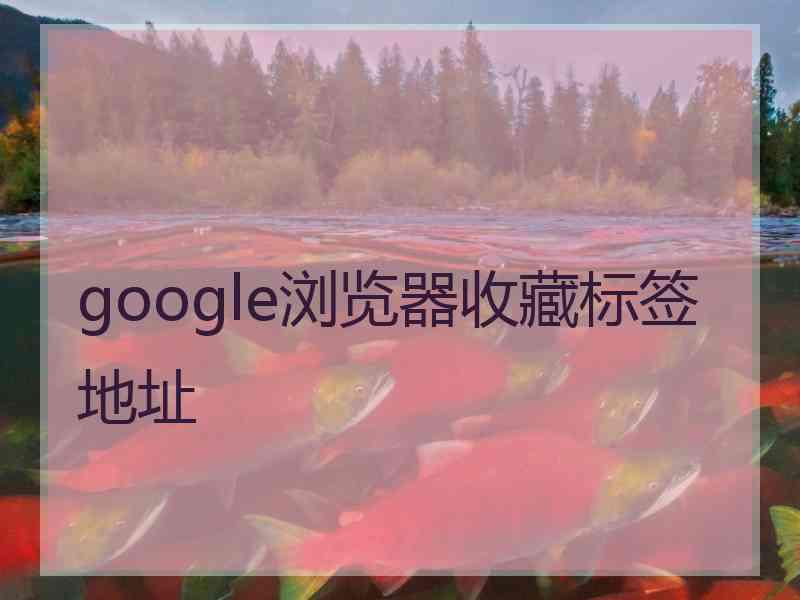 google浏览器收藏标签地址