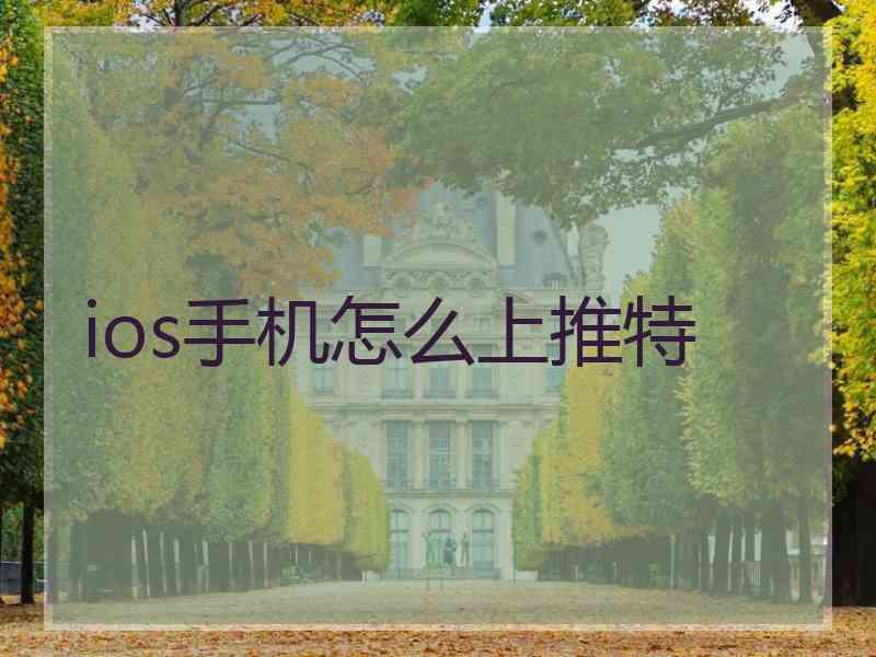 ios手机怎么上推特