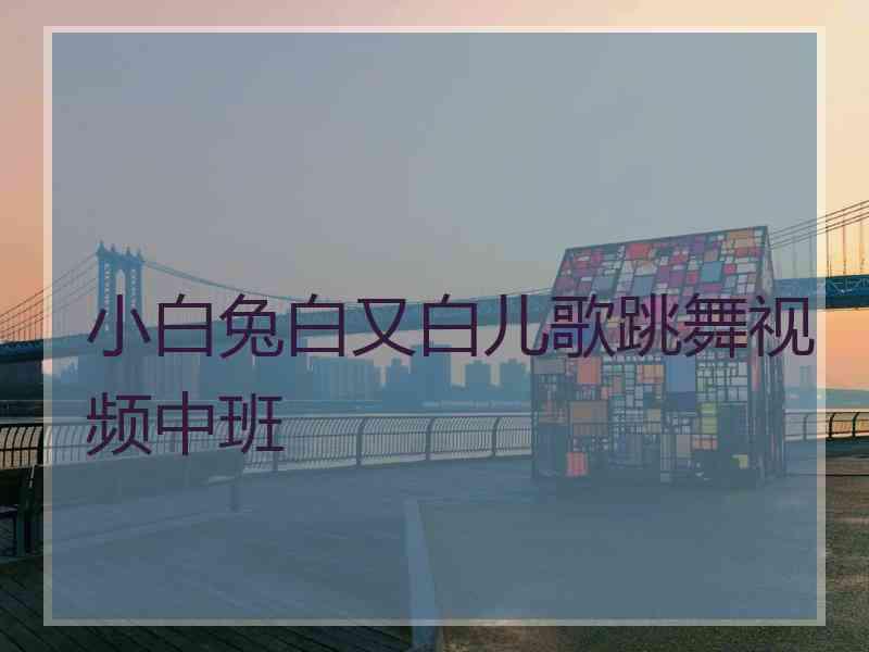 小白兔白又白儿歌跳舞视频中班