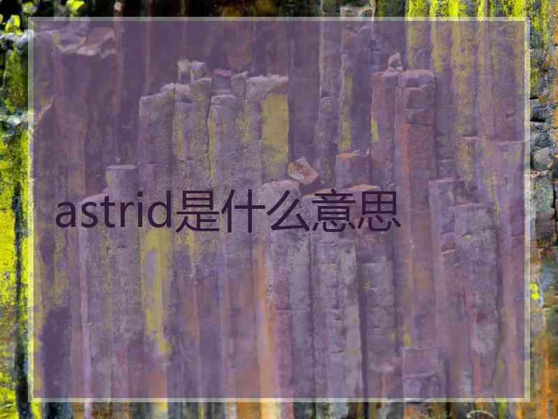 astrid是什么意思