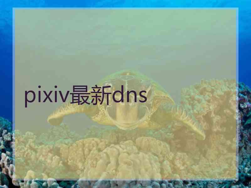 pixiv最新dns