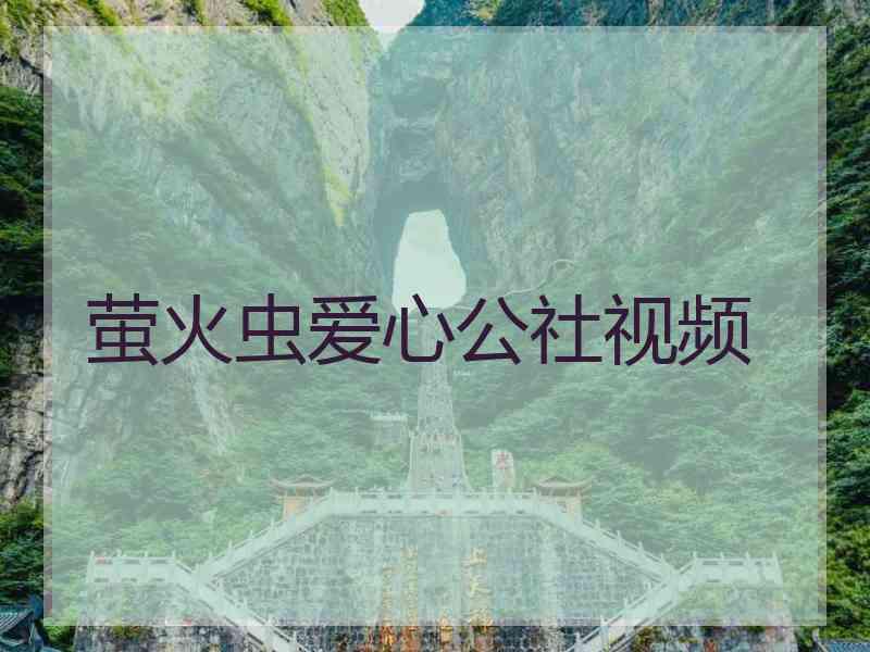 萤火虫爱心公社视频