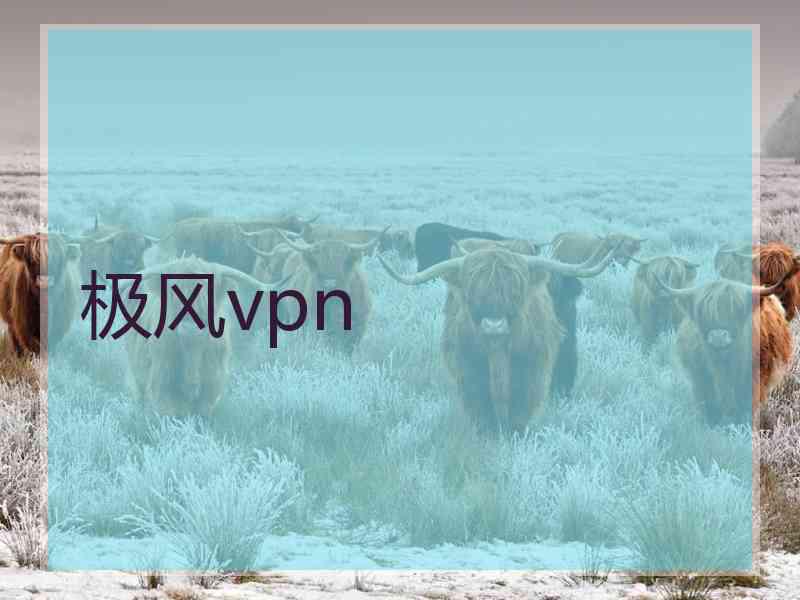 极风vpn