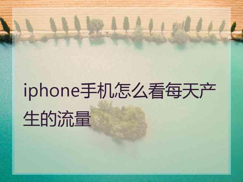 iphone手机怎么看每天产生的流量