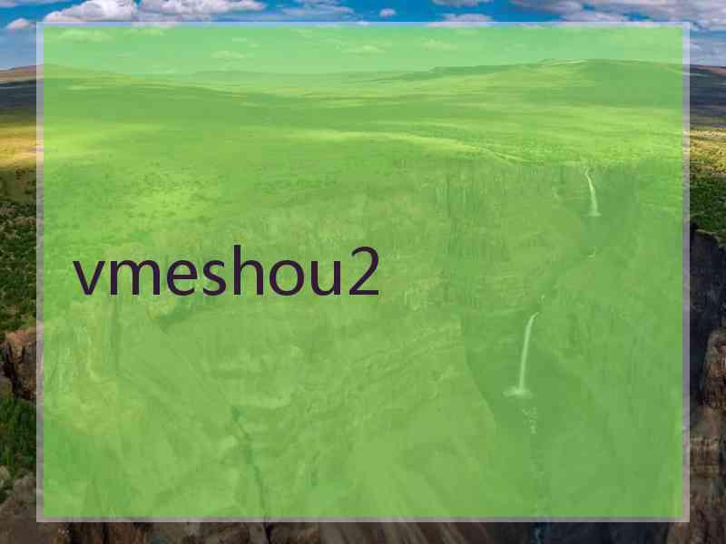 vmeshou2