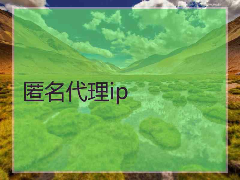 匿名代理ip