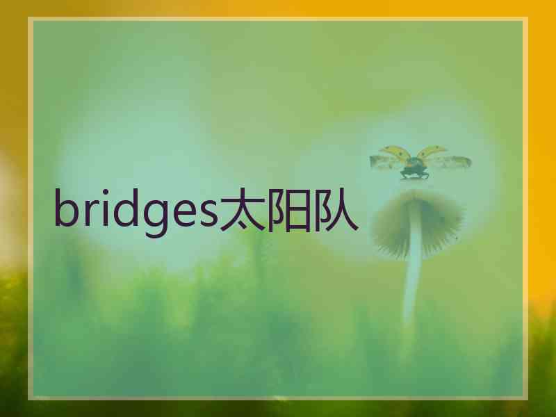 bridges太阳队