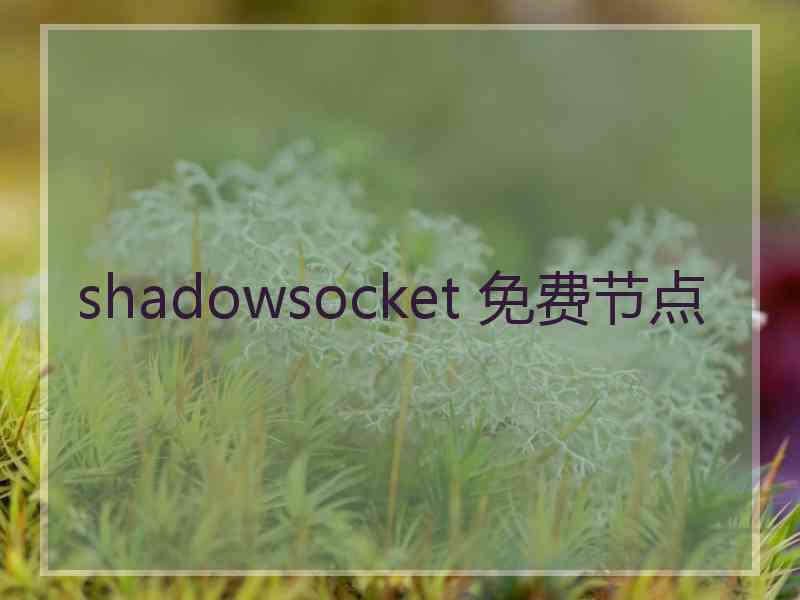 shadowsocket 免费节点