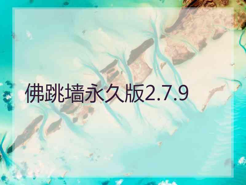 佛跳墙永久版2.7.9