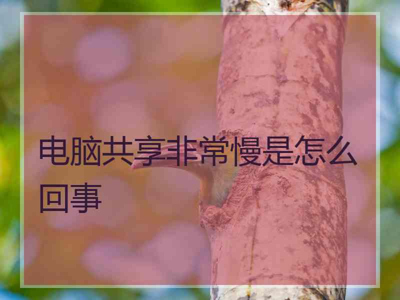 电脑共享非常慢是怎么回事